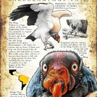 King Vulture Poster