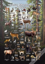 Land Mammals of Oregon poster print