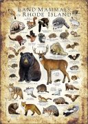 Rhode Island land mammals poster print