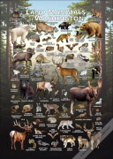 Land mammals of Washington poster print
