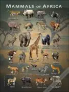 Mammals of Africa poster