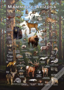 Mammals of Arizona Poster print