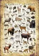 Mammals of Idaho poster print