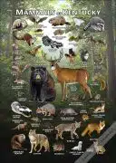 Kentucky Mammals poster print
