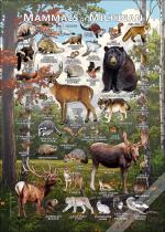Mammals of Michigan poster print