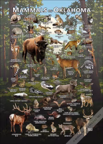 Mammals of Oklahoma poster print