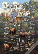 Mammals of Utah poster print
