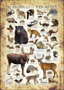 Land Mammals of Vermont poster print
