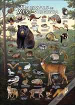 Mammals of West Virginia poster print