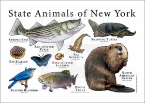 New York State Animals poster
