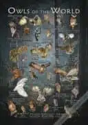 Owls of the World Poster