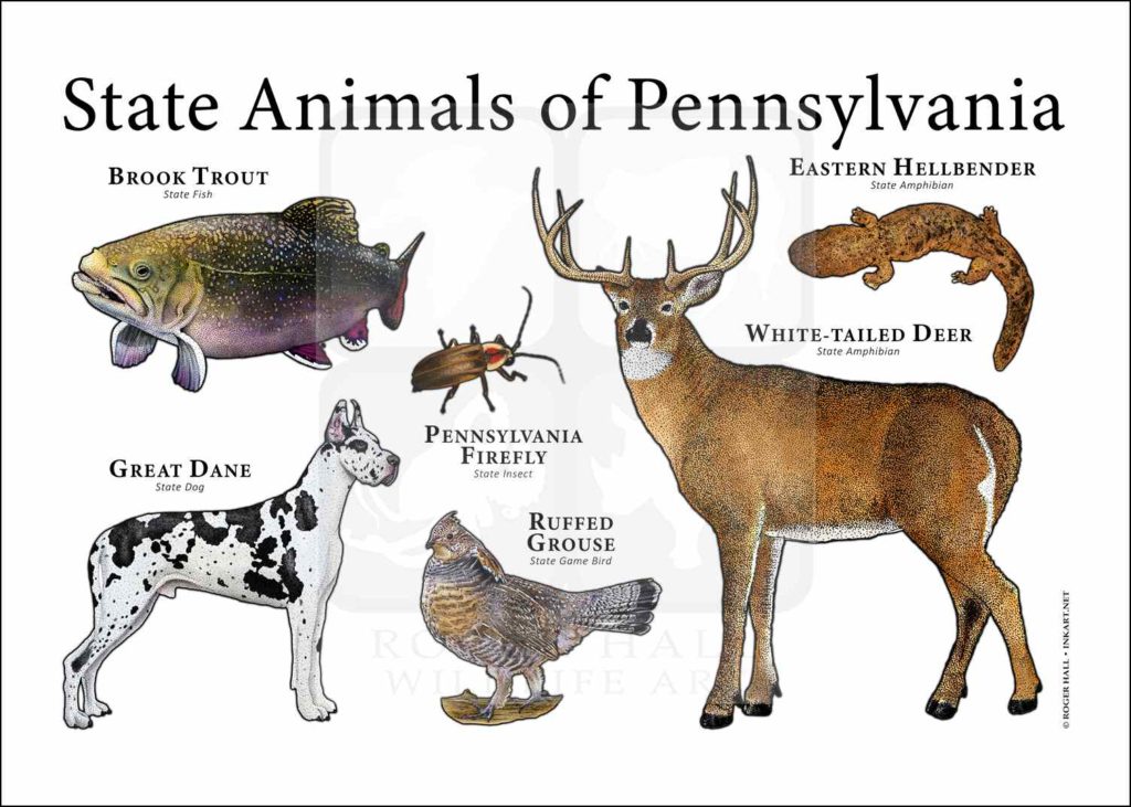 Pennsylvania Island State Animals Poster Print inkart