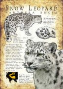 Snow Leopard poster