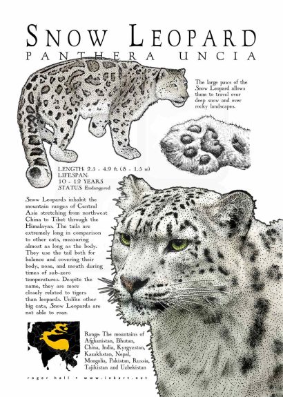 Snow Leopard poster