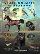 Alabama State Animals poster
