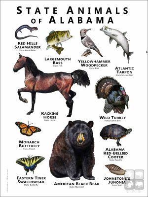 Alabama State Animals poster