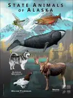 Alaska State Animals poster