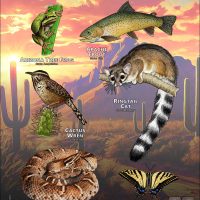Arizona State Animals poster