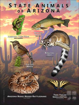 Arizona State Animals poster