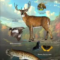 Arkansas State Animals poster