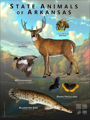 Arkansas State Animals poster