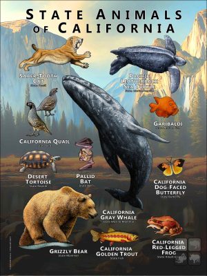 State Animals of California poster print