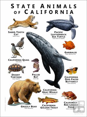 State Animals of California poster print