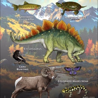 Colorado State Animals poster