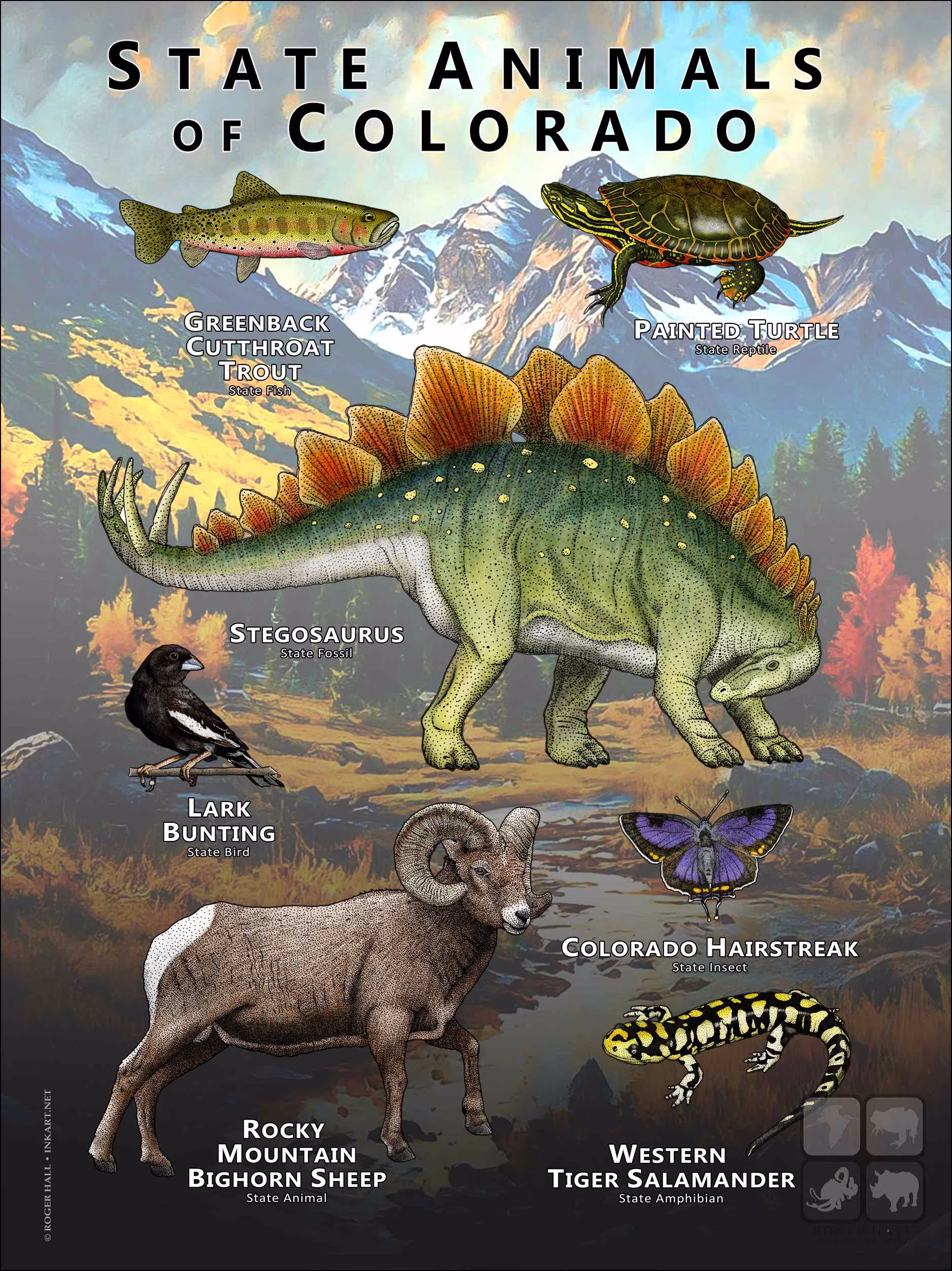 State Animals of Colorado Colorado State Animals poster