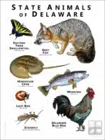 Delaware State Animals poster