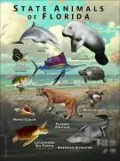 Florida State Animals poster