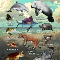Florida State Animals poster