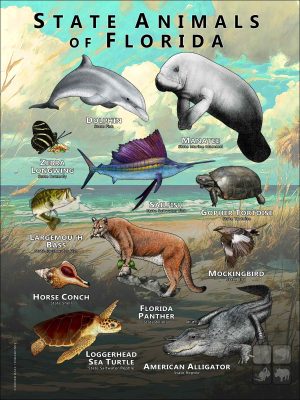 Florida State Animals poster