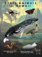 Hawaii State Animals poster