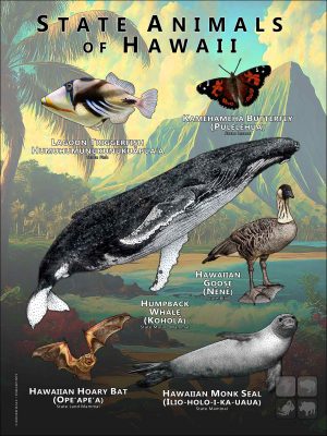 Hawaii State Animals poster