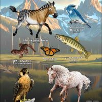 Idaho State Animals poster