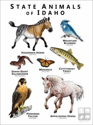 Idaho State Animals poster