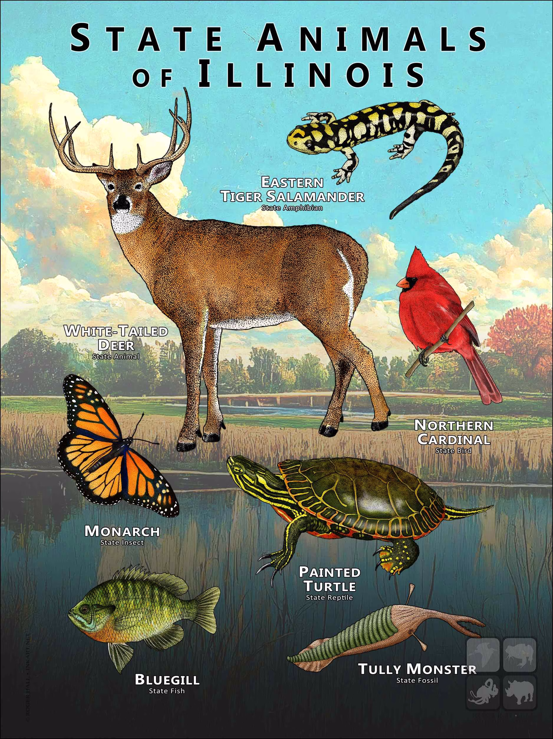 State Animals of Illinois Illinois State Animals poster