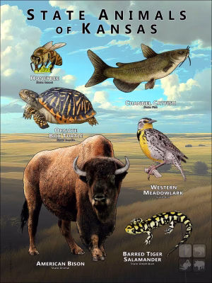 Kansas State Animals poster