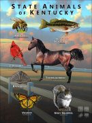 Kentucky State Animals poster