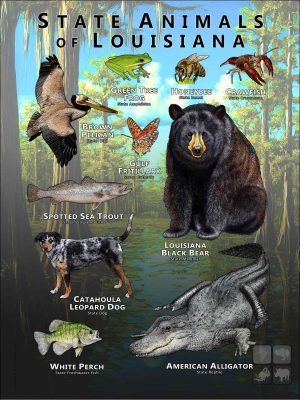 Louisiana State Animals poster