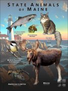 Maine State Animals poster
