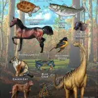 Maryland State Animals poster