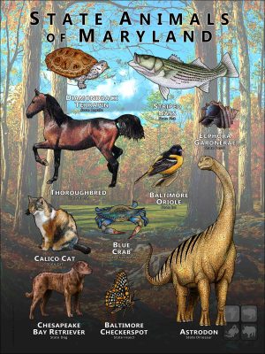 Maryland State Animals poster