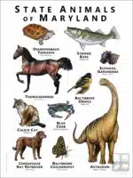 Maryland State Animals poster