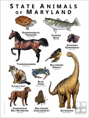 Maryland State Animals poster