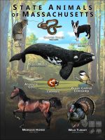 Massachusetts State Animals poster