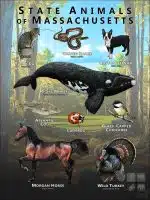 Massachusetts State Animals poster