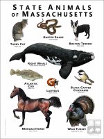 Massachusetts State Animals poster