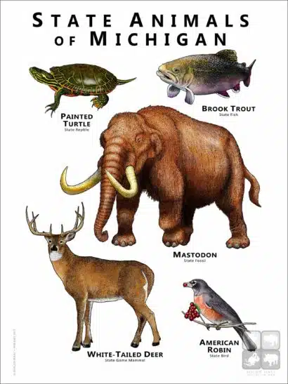 Michigan State Animals poster